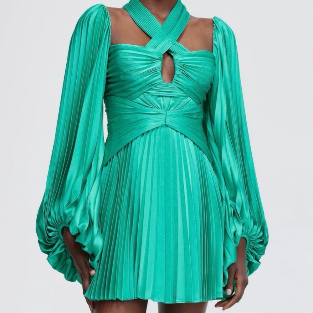 NWT Acler Valaria Long Sleeve Dress